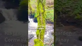 River Sound &ndash; So Relaxing &ndash; Cornwall, England, UK #RiverSound #Relaxing #Cornwall #uk #nature
