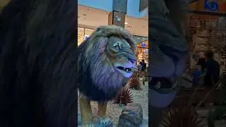SMART ZOO TACARUNA aventura animal! #shorts #SmartZoo