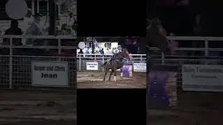 🌟 Mini Cowgirl's Wild Barrel Race on Speedy Stallion! 🐎💥Horse Whispers, Horse videos, Equine moments