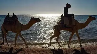 Diving in Egypt, Duiken in Egypte, Dahab, Part 3, Three Pools, Golden Blocks - Bart