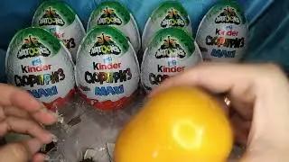 #Киндер Натунс Макси 22-23. новинка
