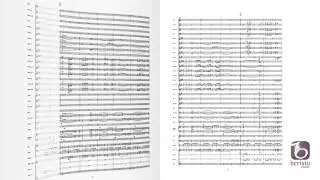 Rock Classics - arr. Peter Sch&uuml;ller
