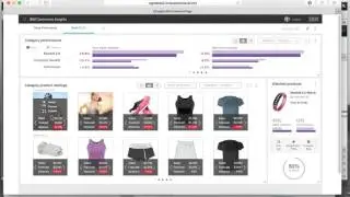 Quick Look at IBM Commerce Insights