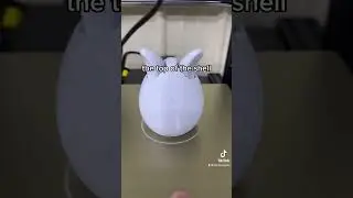 🐰 #3dprintingforbeginners #3dprintingfornoobs #3dprinter #3dmodel #3dmodeling #3dprinting #zou3d