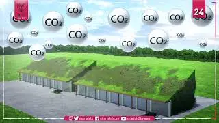 'Smart Forest City' design unveiled for Mexico