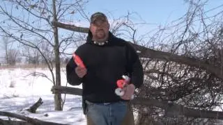 Hunting Dog Training Dummies- How to Use Them- EverythingGunDog.com