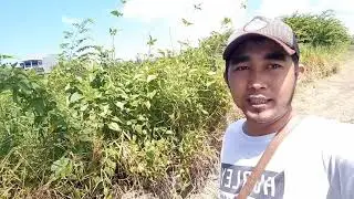 Tanah los pantai Cemagi - Bali
