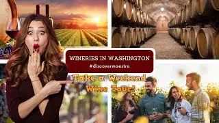 DiscoverJBLM's 2024 Washington Wine Tour Guide
