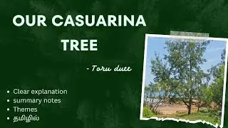 OUR CASUARINA TREE by Toru dutt Tamil summary|English literature 💓