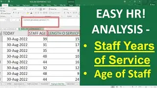 [LIVE!] Staff HR Data Analysis - Calculate Staff Age, Length of Service in Excel