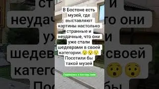Музей плохого искусства в США #facts, #wow, #amazing, #story, #video, #mustsee, #daily, #share #dj