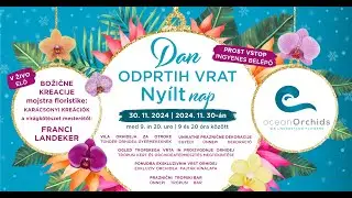 Dan Odprtih Vrat Ocean Orchids 2024