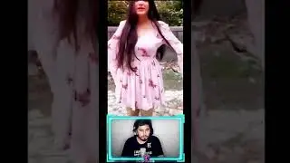 CaptSam react 😍 on Dobby Dance #viral #dobby #dobby