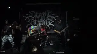 Die In Agony - Autopilot - LIVE at Chthonic Chaos Carnival 2024
