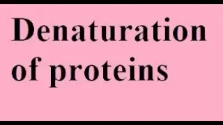 Denaturation of proteins by alkaloid reagents (tannin)