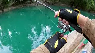 Two Trout / One Chub