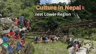 Ancient Rhythms of the Land | Traditional Farming in rural Nepal&rsquo;s Everest Foothills.