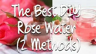 The Best Rose Water & Rose Hydrosol DIY | 2 Methods in 1