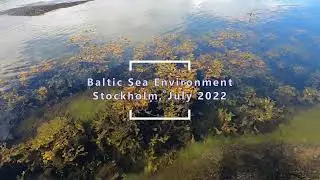 Baltic Sea Environment: Nature dives in Stockholm archipelago, July 2022