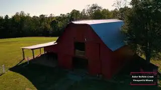 Baker Buffalo Creek Vineyard and Winery Interview