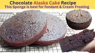 Chocolate Alaska Cake | Perfect Recipe for fondant cakes@foodshelter874