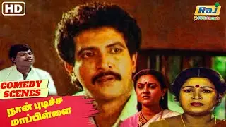 என்னண்ணே தனியா பொலம்பிகிட்டு இருக்கீங்க? | Naan Pudicha Mappillai Movie Comedy | Raj Nagaichuvai