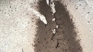 The ant 🐜 construction house for living full day #construction #building 