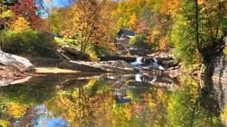 Autumn Color  in West Virginia