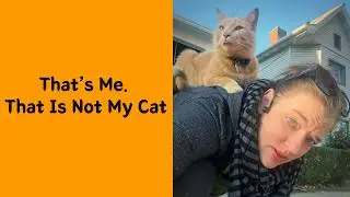 50 Gloriously Unflattering Pet Photos That Bring Pure Joy