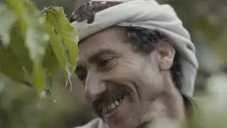 Mokha Coffee - Discover the Rich Legacy of Yemeni Specialty Coffee