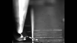 IC Wire bond looping process