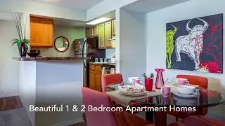 Solis at Winter Park Apartments Tour