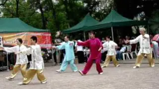 Wu Style Tai Chi Routine @ the Kung Fu Corner - Kowloon Park - Sculpture Garden - Hong Kongon display @ the kung fu corner in Kowloon Park, Hong Kong @ the sculpture garden.