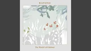 Playground for Birds