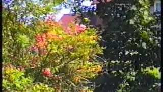 Oving 1995