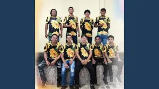 Teu valor