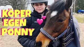 Jag köper en egen ponny!