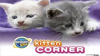 Discovery Kids: Kitten Corner Gameplay Nintendo DS