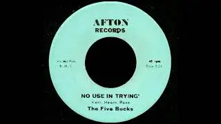 The Five Bucks - No Use In Trying(1966).