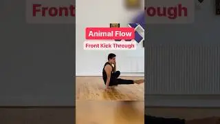 Animal Flow - Frontkick through 💥 #primalmovement #animalflow #yoga