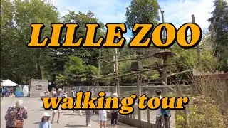 🇲🇫LILLE ZOO - WALKING TOUR | 4K UHD