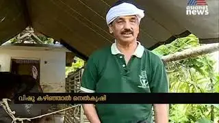 കൃഷി തിരക്കില്&zwj; മുന്&zwj; കൃഷിമന്ത്രി | KP Mohanan Turns Farmer
