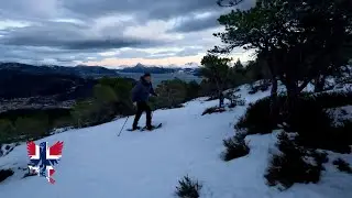 Snowshoeing Solo: A Journey Through the Winter Wilderness