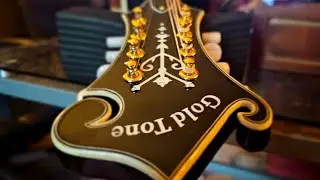 Gold Tone GM 70+  mandolin