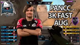 pancc - 3 quick AUG HS kills(SHARKS)