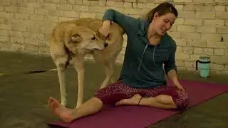 generalnews Doga