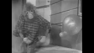 Het Aapje Joekie - Het avontuur in de vacantie -1958
