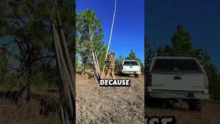 Time to set up camp for winter
