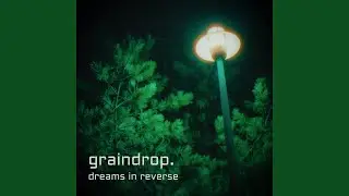 Dreams in Reverse