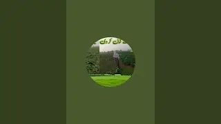 shahida official is live